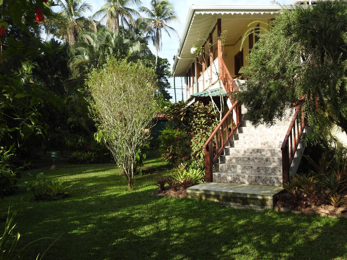 Playa Negra Guesthouse Cahuita Exteriér fotografie