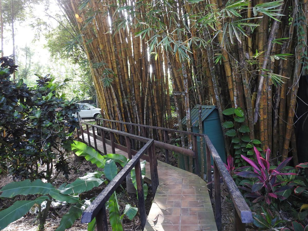 Playa Negra Guesthouse Cahuita Exteriér fotografie