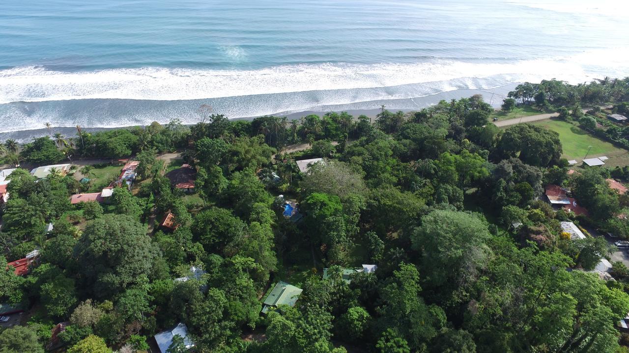 Playa Negra Guesthouse Cahuita Exteriér fotografie