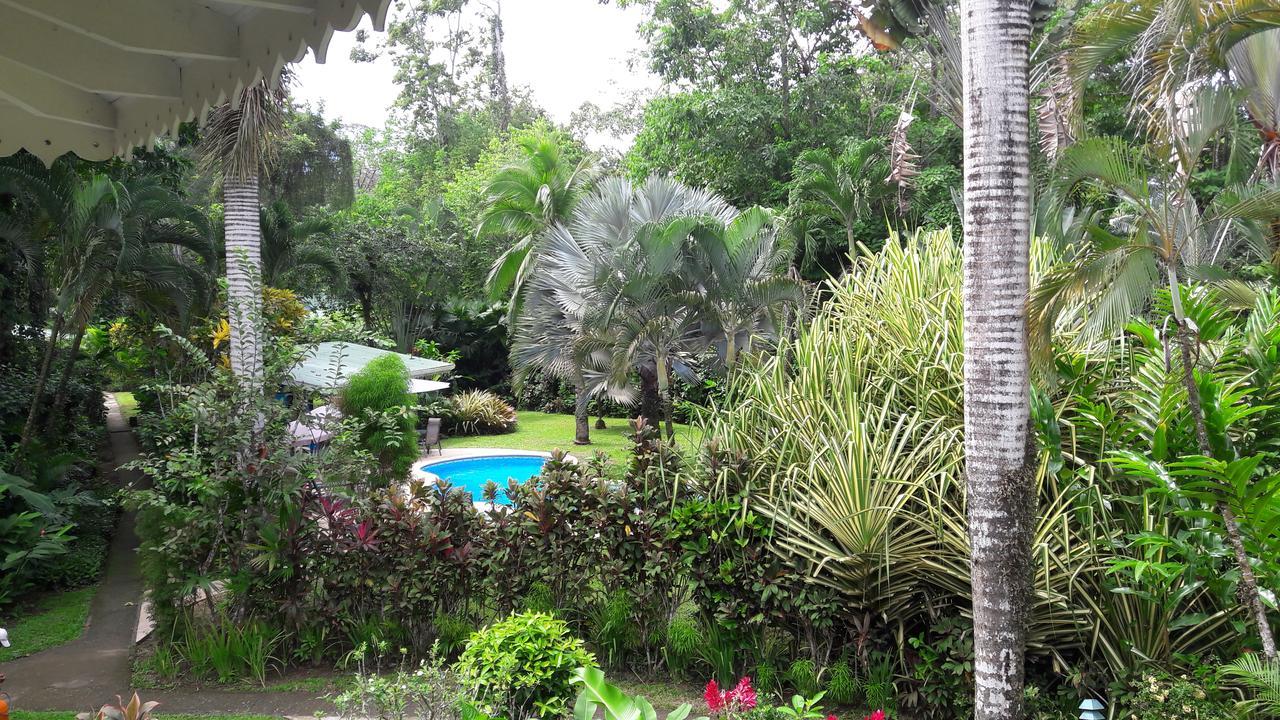 Playa Negra Guesthouse Cahuita Exteriér fotografie